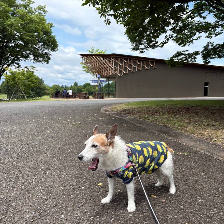 7de12806 fffb 4648 872b 2340082f5a70 1748906197974