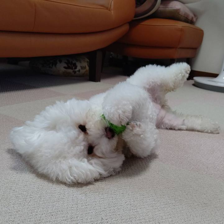 7de146b2 0922 4394 b165 df8a8aed7d82 1597639284255