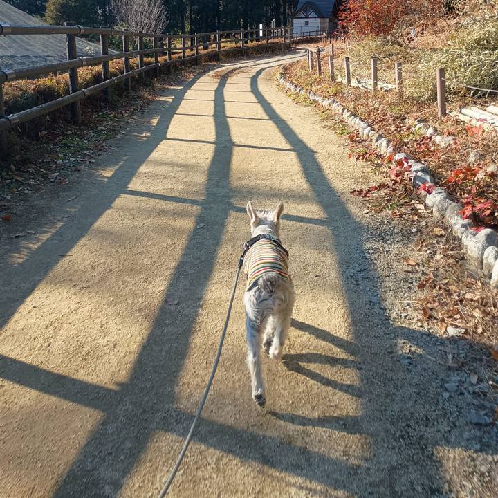 7de14b34 21de 4a27 afc5 5f049fffe951 1766060986953