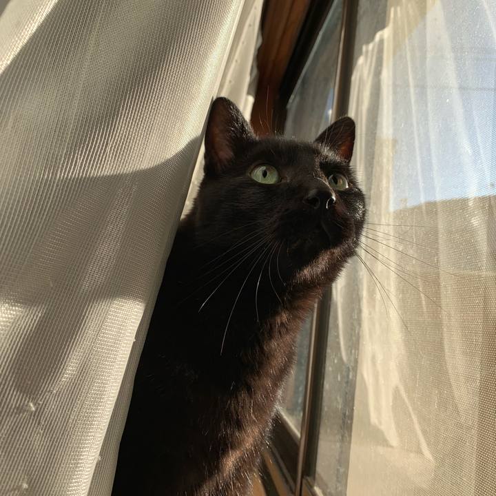 7de1570d e670 4d36 b8d4 fa2f82ce97e5 1542936858324