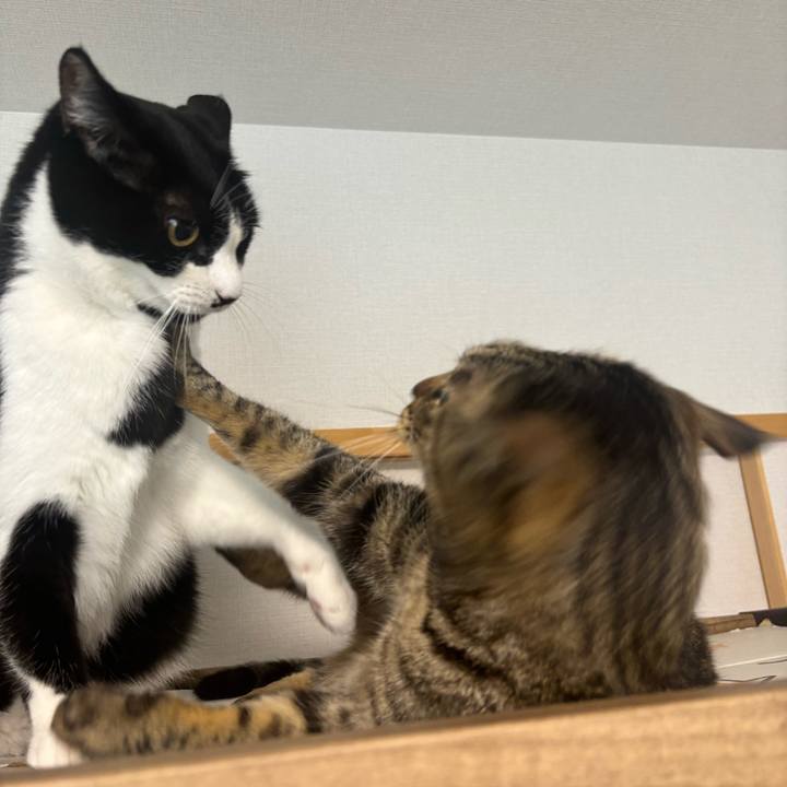 7de178a4 8386 42d4 ac58 00b923d95b55 1760663989652