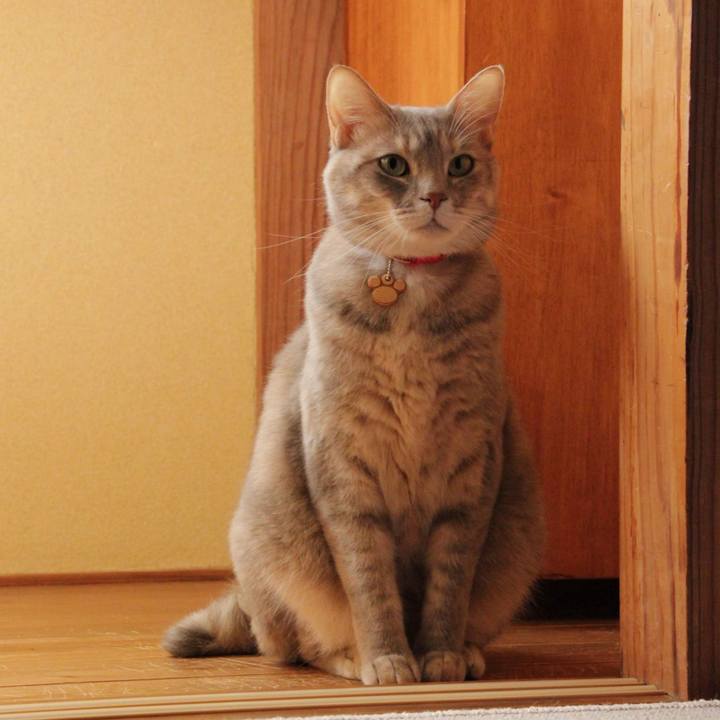 7de18f41 129a 46ad a9a3 02da69b36d1c 1585008369979