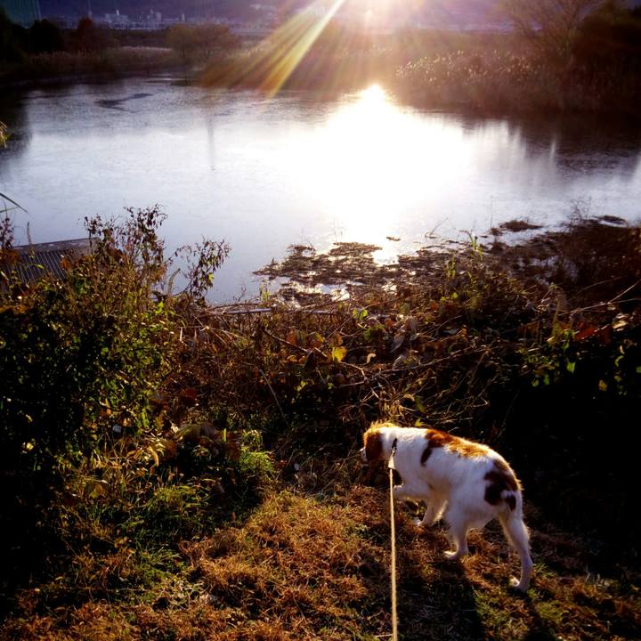 7de1d78e c93c 468c a9ba b50f06fdd34c 1513125375667