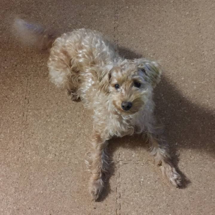 7de1ff24 785d 408d 9e25 3a9ec47838d7 1508798369286