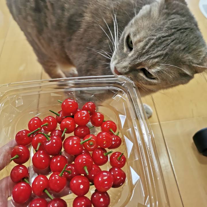 7de205c2 2295 4f0e 882c 2d50f5a14f96 1619580894356