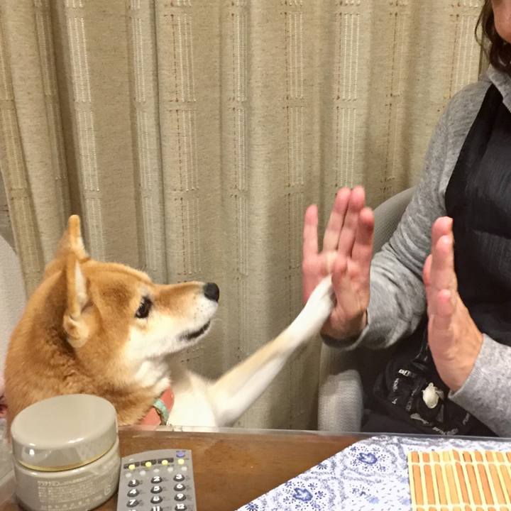 7de216bd 3668 4b54 9788 357331601741 1512386620861