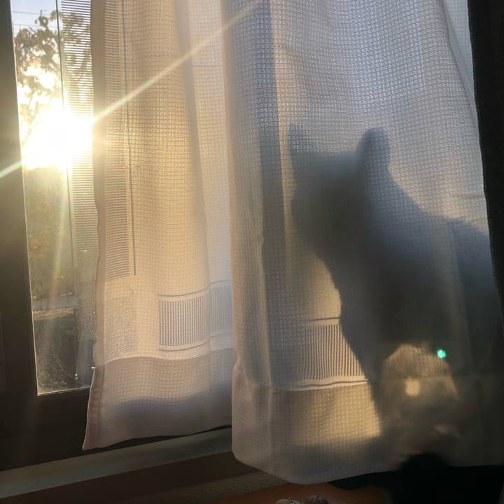 7de22836 e113 432a ac15 c991afd9ec93 1669074751155