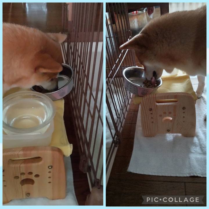 7de248e4 5dc1 41df bc7f 9a422205c169 1756278899726