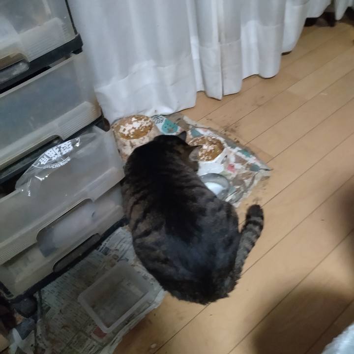 7de27a6a e44e 4d70 bcf9 208b7488bc54 1769119810713