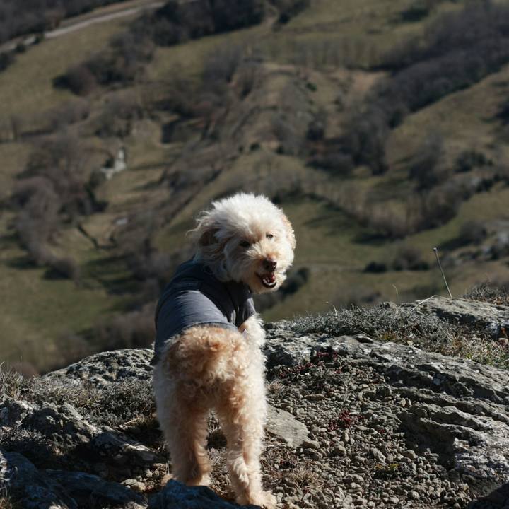 7de2a10d ced4 4fb9 b3cb 7d08bfe70de6 1548623782255