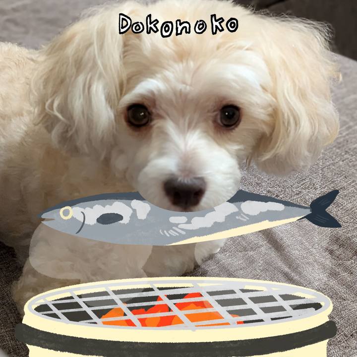 7de2a269 cceb 49b2 ac7b bf26e1bfada7 1761105203656