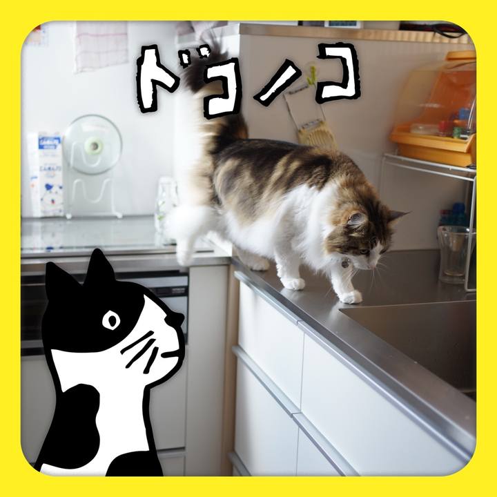 7de2a8ee 9cce 4002 86c2 a382921da4f1 1622865970995