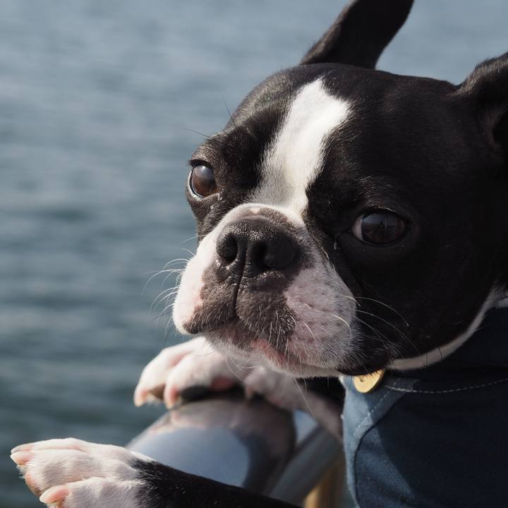 7de2d0d7 db3b 4a30 9ddc 73b3d33f24c1 1613222965497