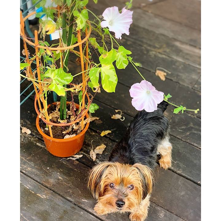 7de2dca8 e6c0 4ff8 bbdf a94b1837b84f 1597531114839