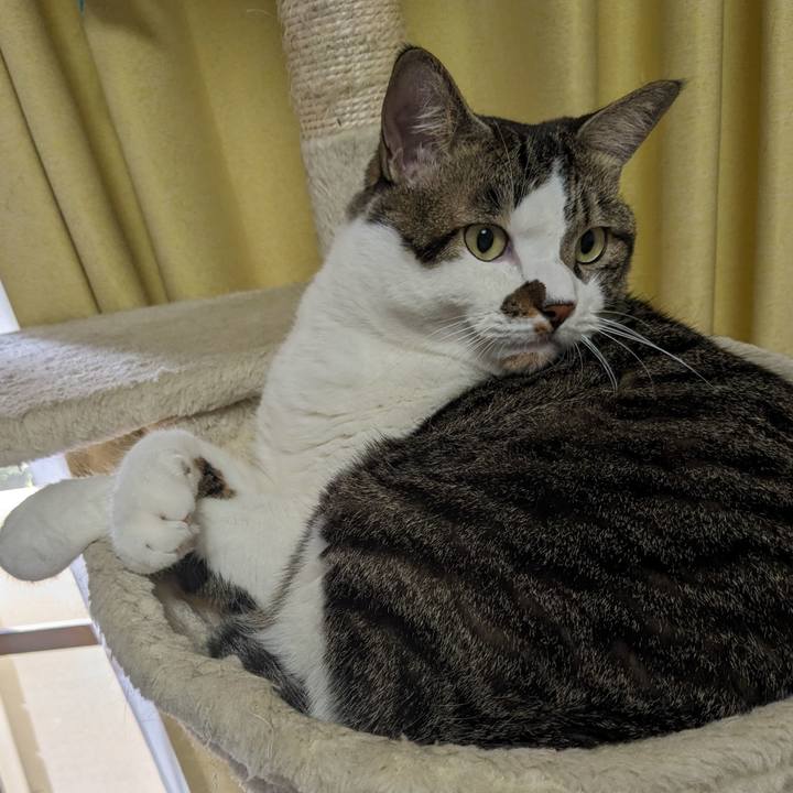 7de30886 c5a9 48ca b1d5 49226fa19244 1693612498152