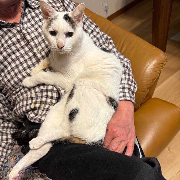 7de317a0 18d6 4348 a842 bdf378103863 1764503264460