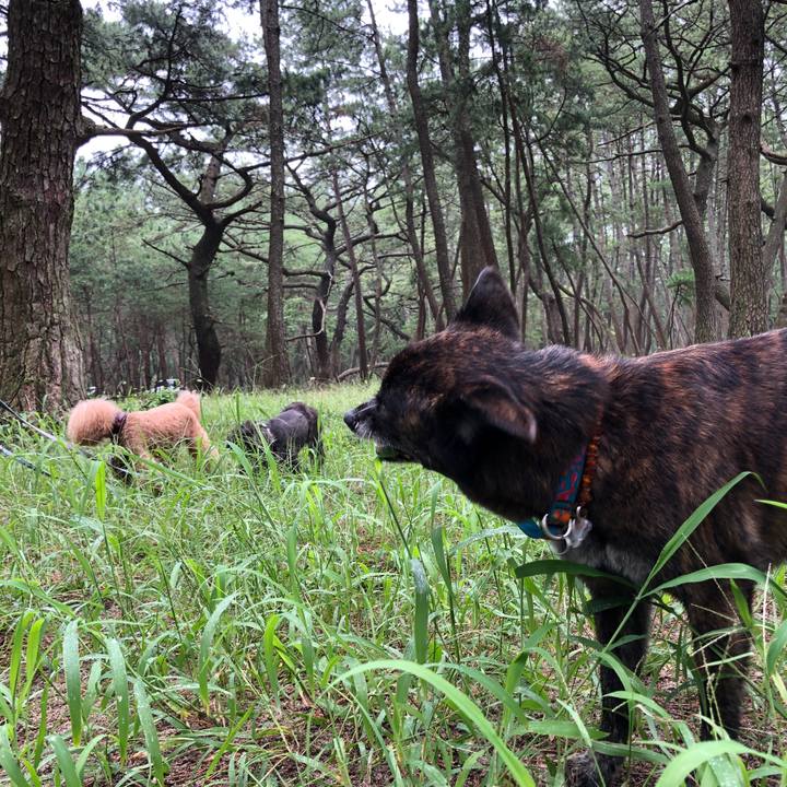 7de32675 9519 4af3 a1e7 552ebe9cc1df 1566289377094