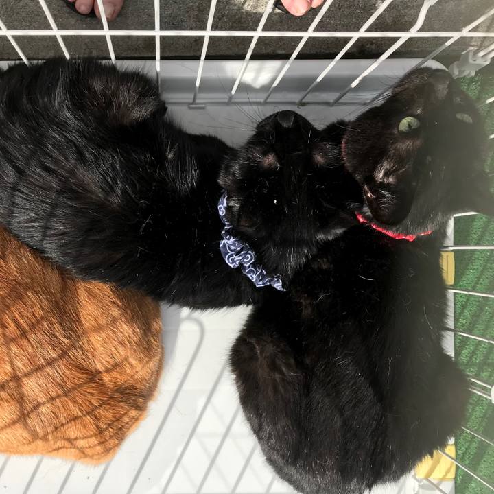 7de3720f 7661 4296 8fe4 5c88b6882b57 1561247656997