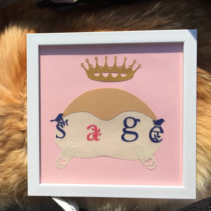 7de382da 103b 4f48 a781 eb834e9b2fc5 1580699884480