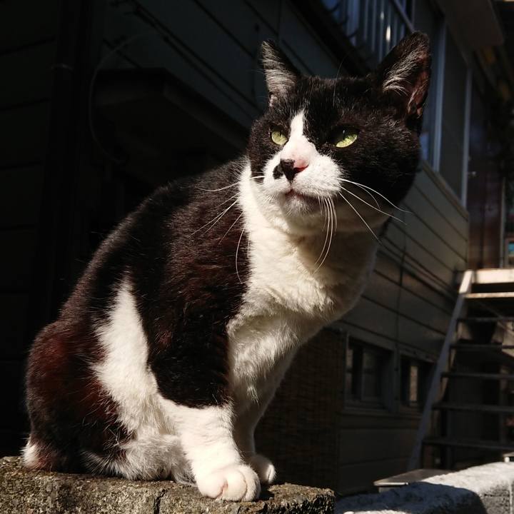 7de3b8e3 062a 4ac8 b652 c4589a4b4f16 1591084544158