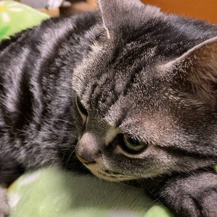 7de3c7fd 82ea 4ec3 a69b c421f5b0b938 1648992093646