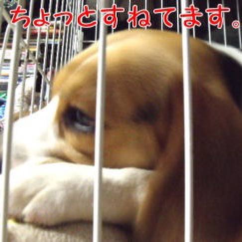 7de3f37d 32e8 4457 b0bb ce45e1c54afa 1690067918685