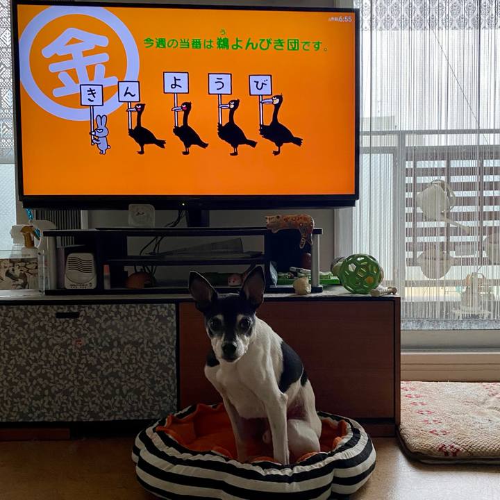 7de40193 1eb5 4756 9286 4caf3bd330fa 1615504090467