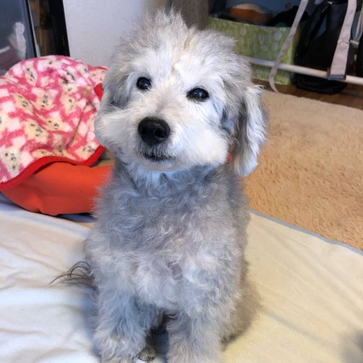 7de42f24 4050 4004 b725 ac038485c914 1546816039126