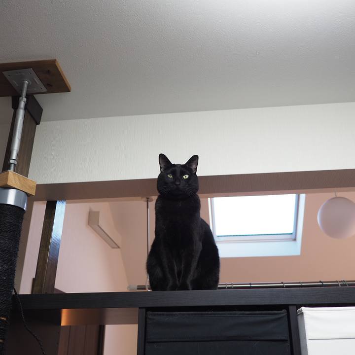 7de48960 98ad 4141 ba8f 75676d51a5b7 1548716330315