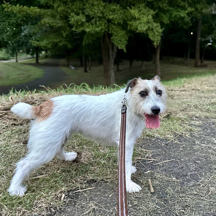 7de49c67 788a 4430 8e0c 39065324086e 1757777790054