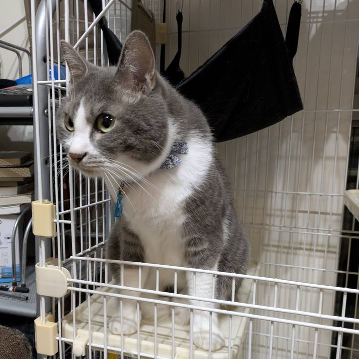 7de4a499 126d 4887 bef5 934ebe9d04ac 1752237848102