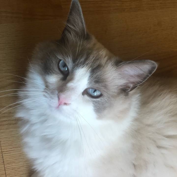 7de4d763 825c 451d a98d 5fa6c6ae7725 1567488521680