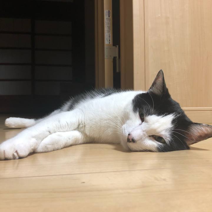 7de4f2b8 0321 4990 983c 3acab55500e9 1560779460089