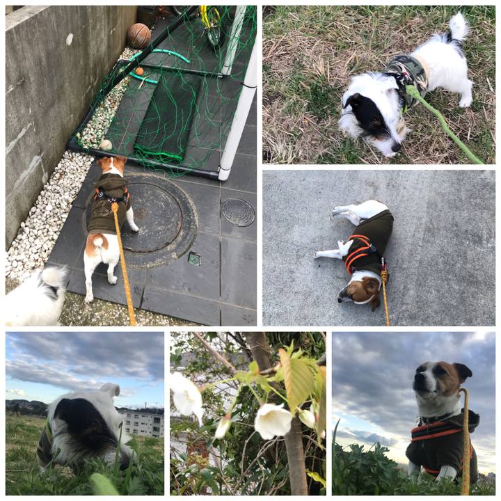 7de4fc6c b28e 46cd 812d a9ef343aafe8 1521708260362