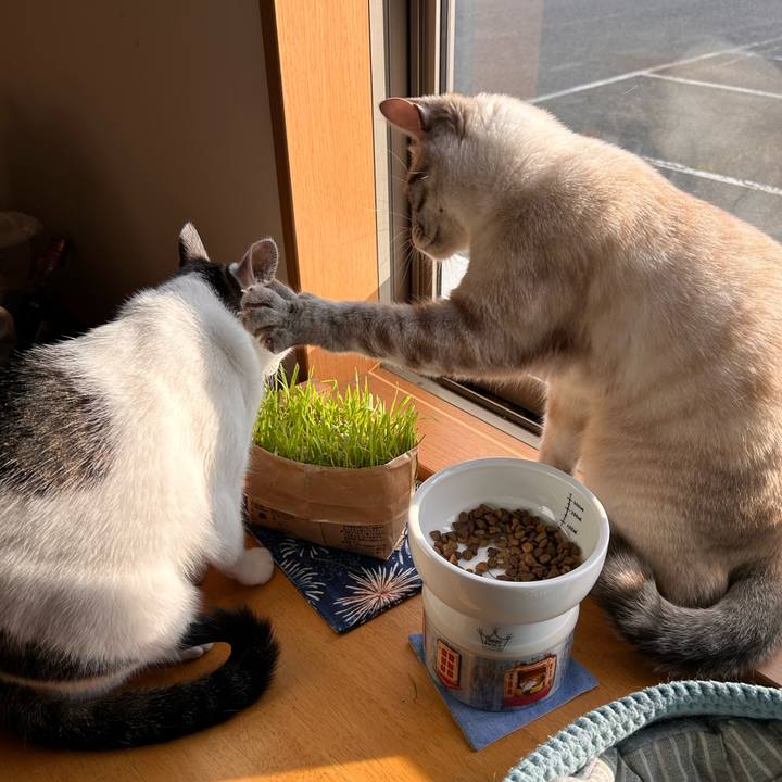 7de5046a 2782 4c75 84bb ffcd9cee53e0 1745731908251