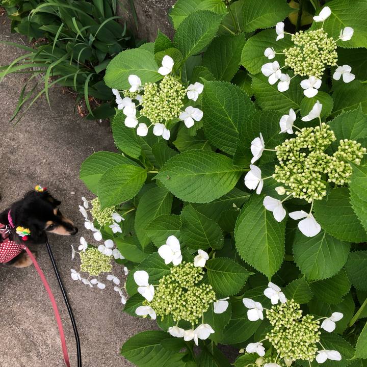 7de5a36f b27a 435c a1e9 089776218aa1 1559607885932