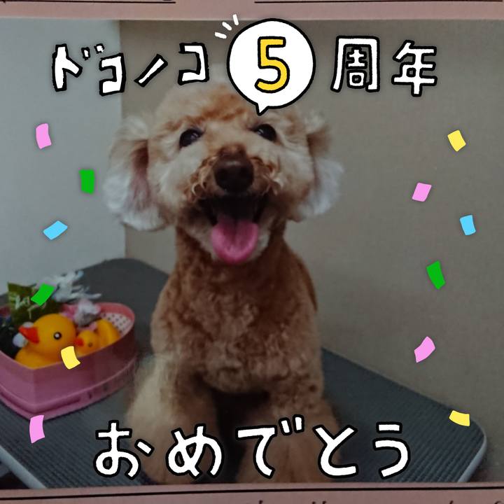 7de5db13 f179 432d af69 cfcd9ac8c80e 1622948730246