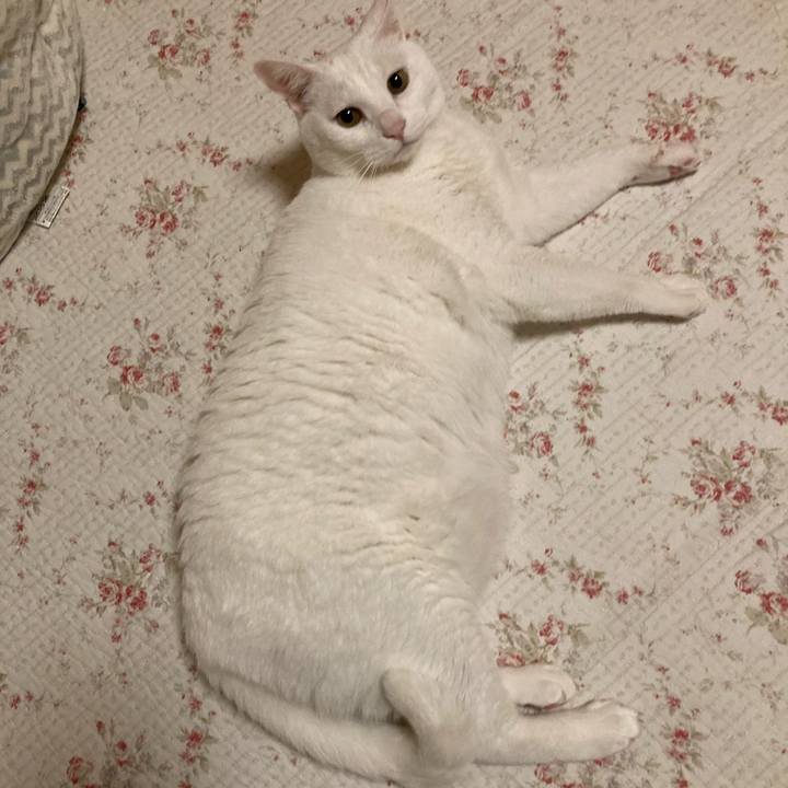 7de5edc2 b250 454b 800f 50f759881b63 1650979663525