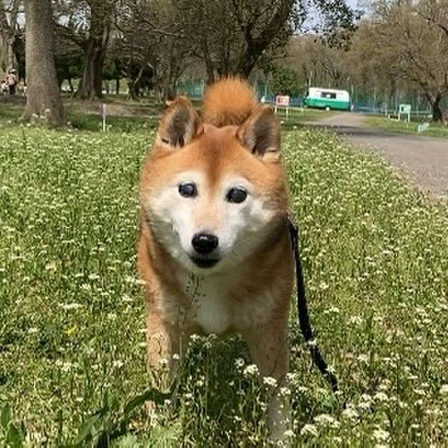 7de5ee46 a7c8 4b7a ba70 3ce44fa5c917 1712032561809