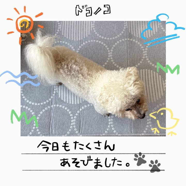 7de61108 545f 4fa2 a0c0 710d696fe4f5 1755244234235