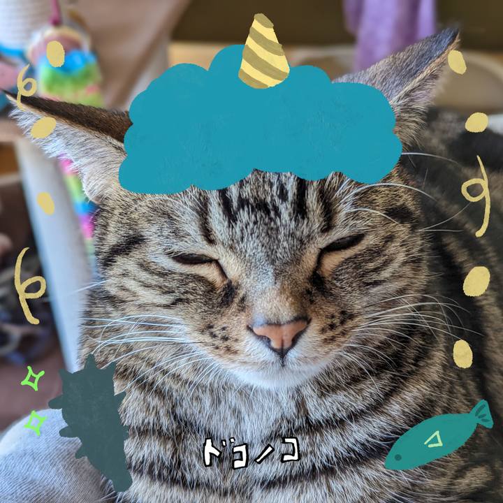 7de64af2 c481 4873 84c8 660b2a7f4280 1706948632495