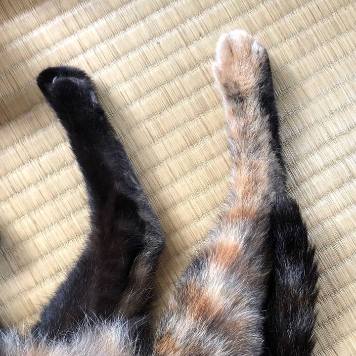 7de65862 2d57 47be 9f3e 2fd533155f0f 1656818780291