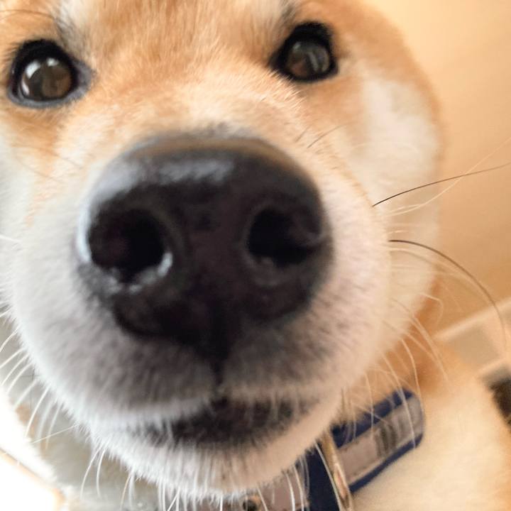 7de6b613 7fe9 47e5 b1c5 5675aac4ee88 1676024274477