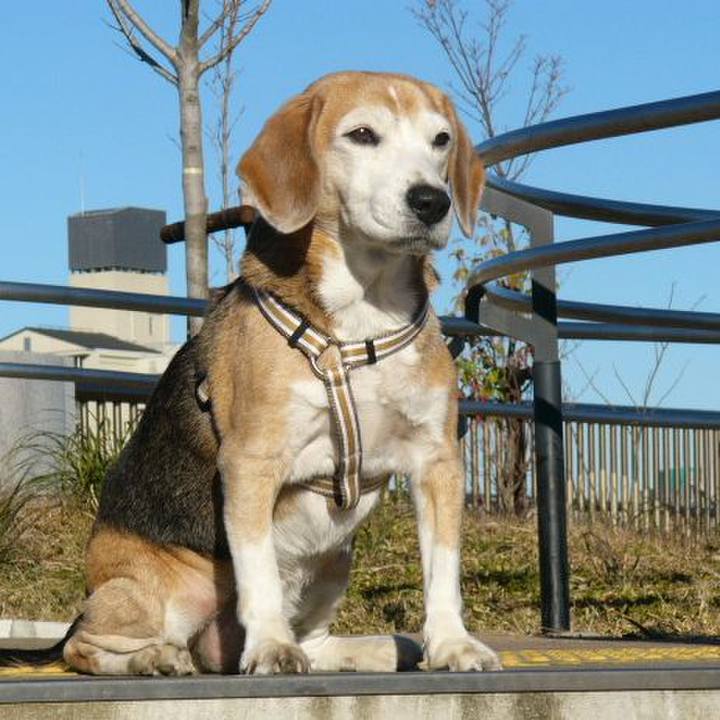 7de6bbbf 13a5 40f6 9569 7875cf502993 1648082887534