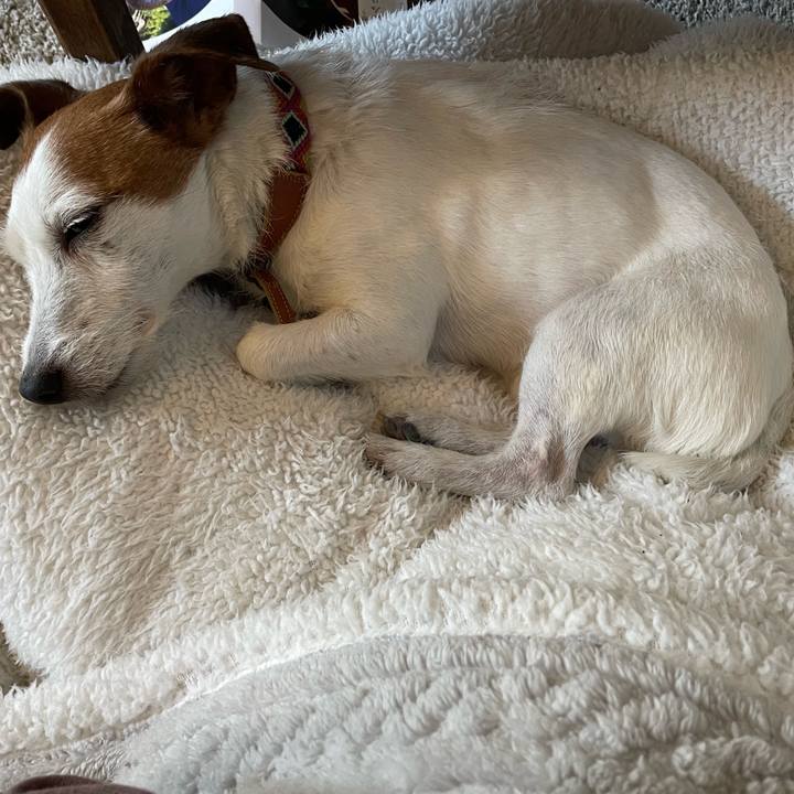 7de6d08b 3b07 4fb0 b262 6c71f633caf3 1771382387064