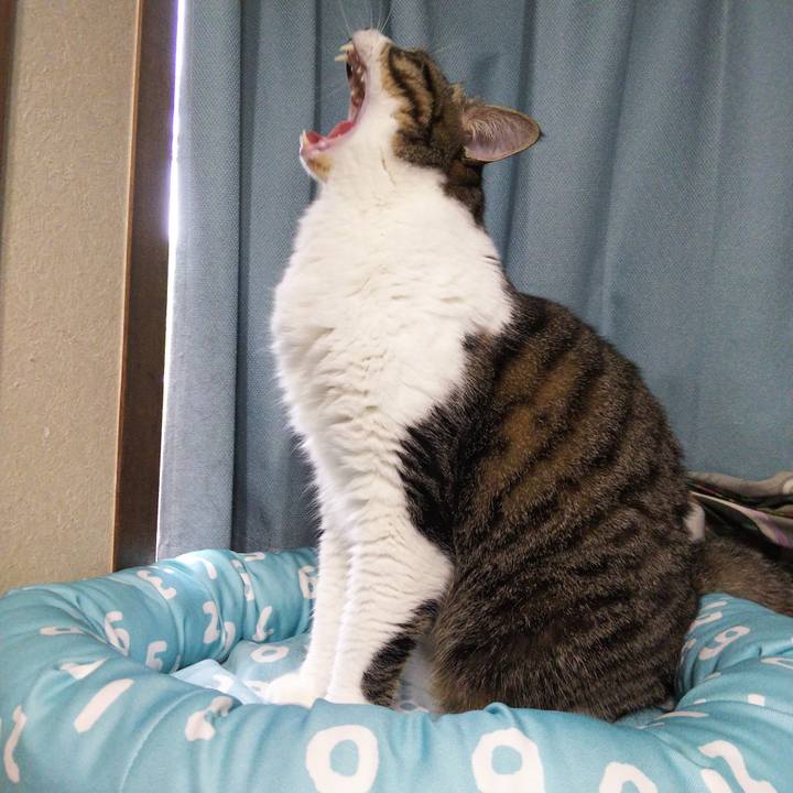 7de6eb23 be29 4fdc b2f5 522e61ff48bb 1665018269132