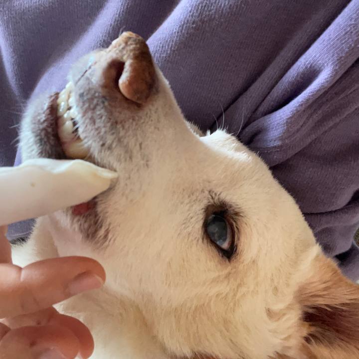 7de710d3 cb5c 4a0f b064 b613b920e530 1678336012328