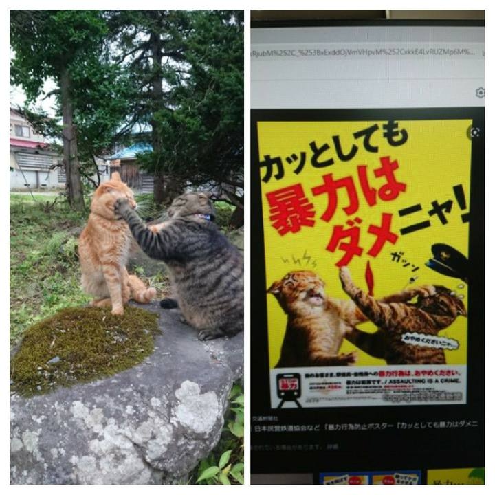 7de73620 6d3d 45d2 9131 0b2605d92212 1658206379451