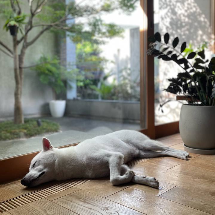 7de76945 fde5 408d 8d93 196ed3a139ca 1661213081836