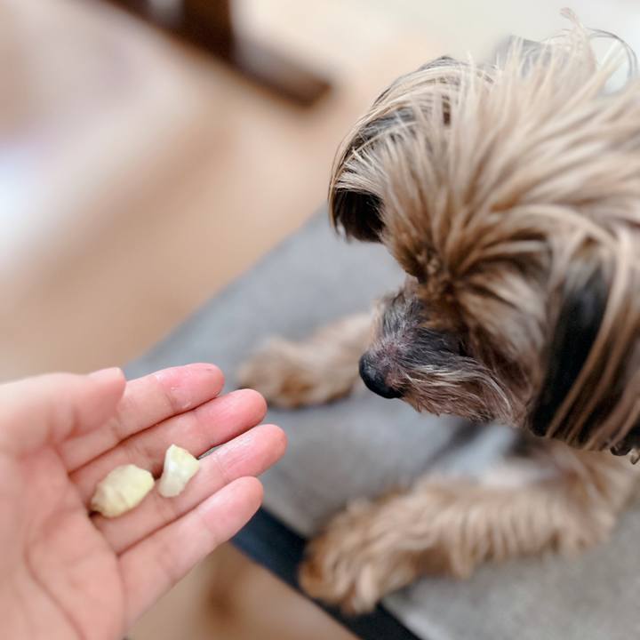 7de78d62 a339 4eb1 a33b ee621d76c739 1664690946783